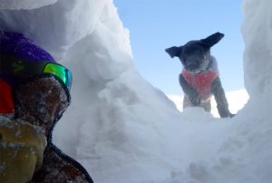 Screen Shot 2021-09-29 at 4.18.29 PM